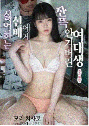 纪实类长片封面图